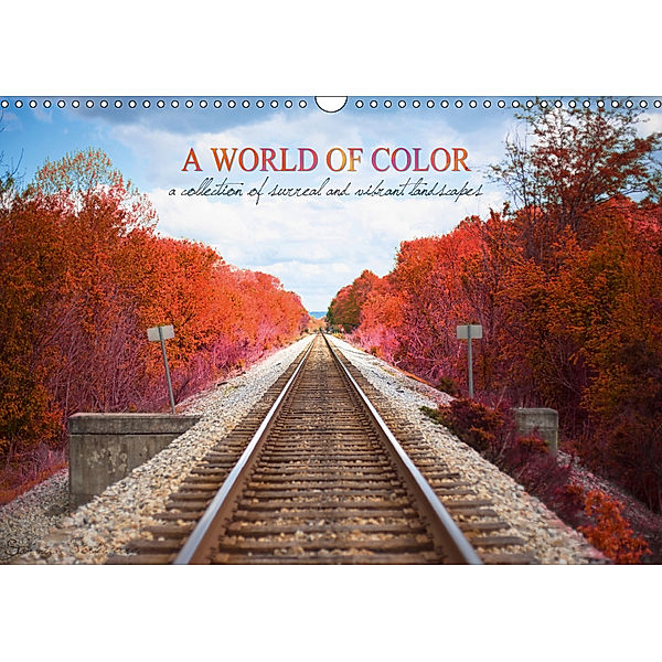 A World of Color (Wall Calendar 2019 DIN A3 Landscape), Samantha Fortenberry