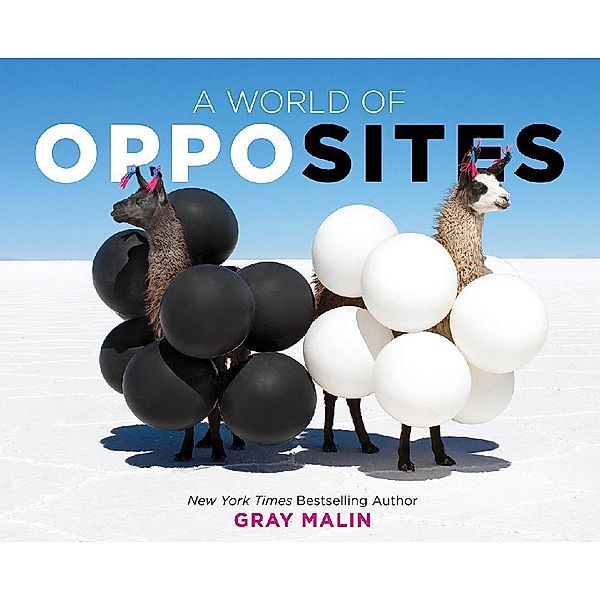 A World of Opposites, Gray Malin