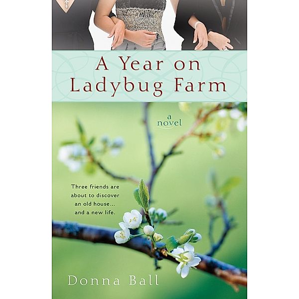 A Year on Ladybug Farm / A Ladybug Farm Novel, Donna Ball