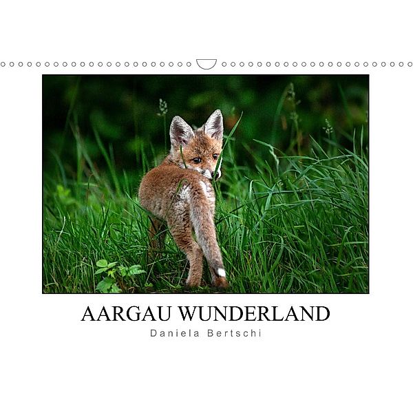 Aargau Wunderland (Wandkalender 2022 DIN A3 quer), Daniela Bertschi