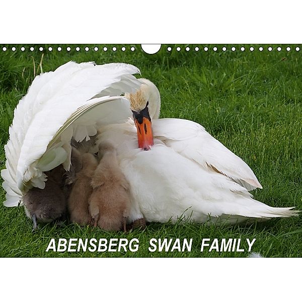 Abensberg Swan Family (Wall Calendar 2018 DIN A4 Landscape), Kathrin Hueber