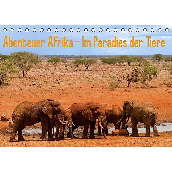 Abenteuer Afrika - Im Paradies der Tiere (Tischkalender 2023 DIN A5 quer), Daniel Rohr