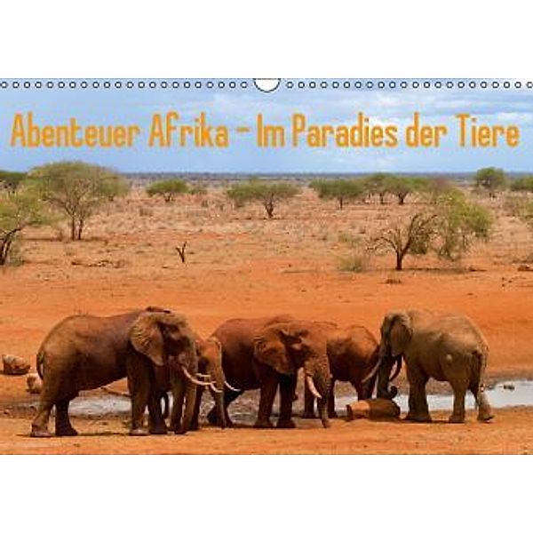 Abenteuer Afrika - Im Paradies der Tiere (Wandkalender 2015 DIN A3 quer), Daniel Rohr