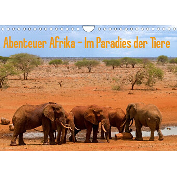 Abenteuer Afrika - Im Paradies der Tiere (Wandkalender 2022 DIN A4 quer), Daniel Rohr