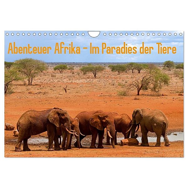 Abenteuer Afrika - Im Paradies der Tiere (Wandkalender 2024 DIN A4 quer), CALVENDO Monatskalender, Daniel Rohr