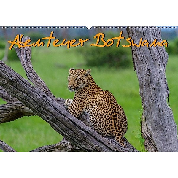 Abenteuer Botswana Afrika - Adventure Botswana (Wandkalender 2014 DIN A2 quer), Frank Struckmann