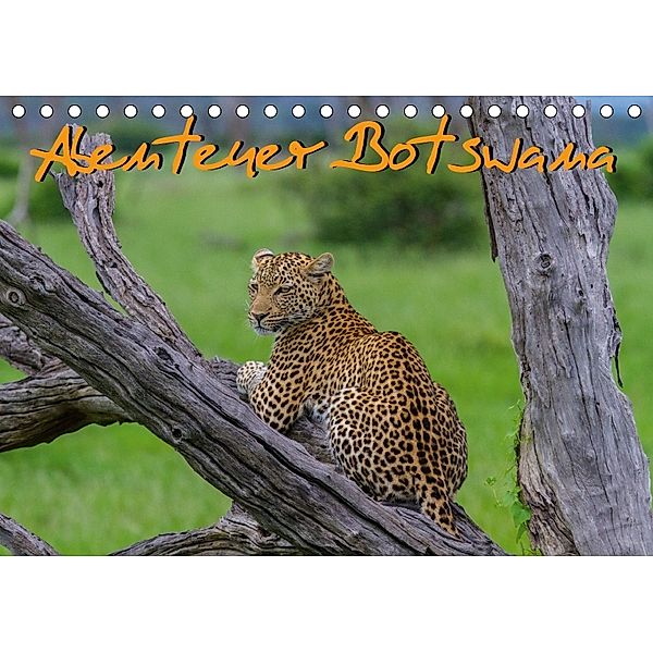 Abenteuer Botswana Afrika - Adventure Botswana (Tischkalender 2018 DIN A5 quer), Frank Struckmann