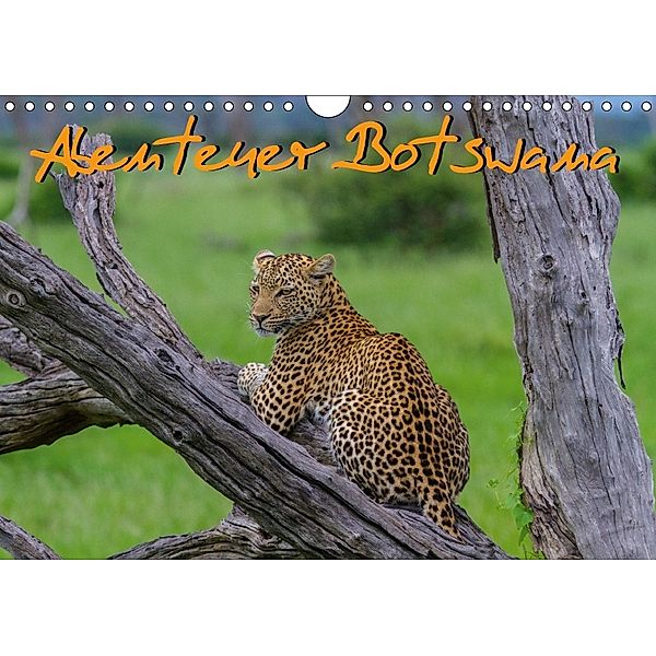 Abenteuer Botswana Afrika - Adventure Botswana (Wandkalender 2018 DIN A4 quer), Frank Struckmann