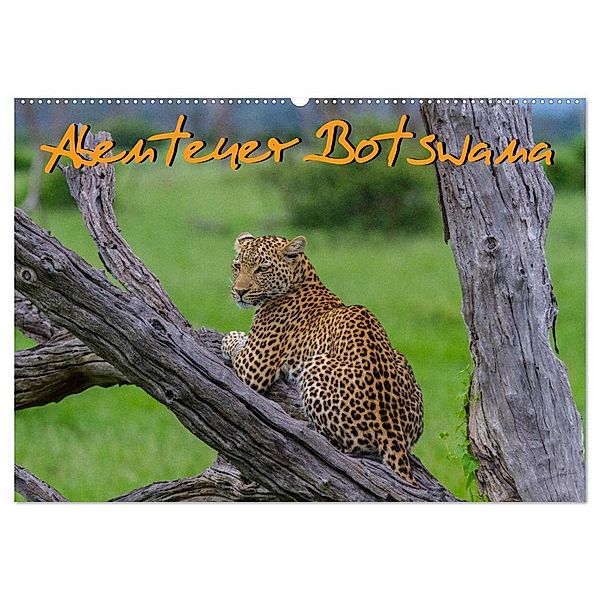 Abenteuer Botswana Afrika - Adventure Botswana (Wandkalender 2024 DIN A2 quer), CALVENDO Monatskalender, Frank Struckmann