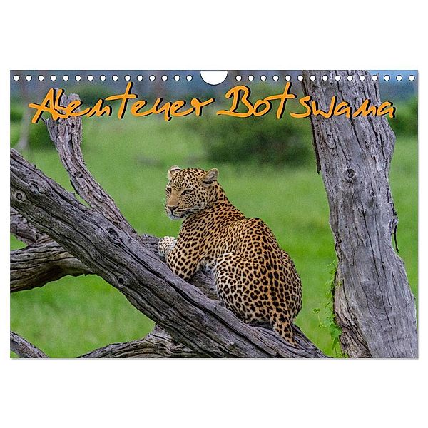 Abenteuer Botswana Afrika - Adventure Botswana (Wandkalender 2024 DIN A4 quer), CALVENDO Monatskalender, Frank Struckmann