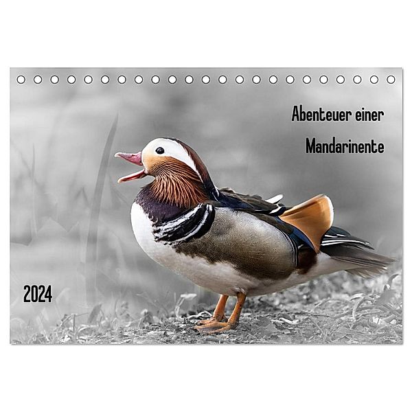 Abenteuer einer Mandarinente (Tischkalender 2024 DIN A5 quer), CALVENDO Monatskalender, LaPics