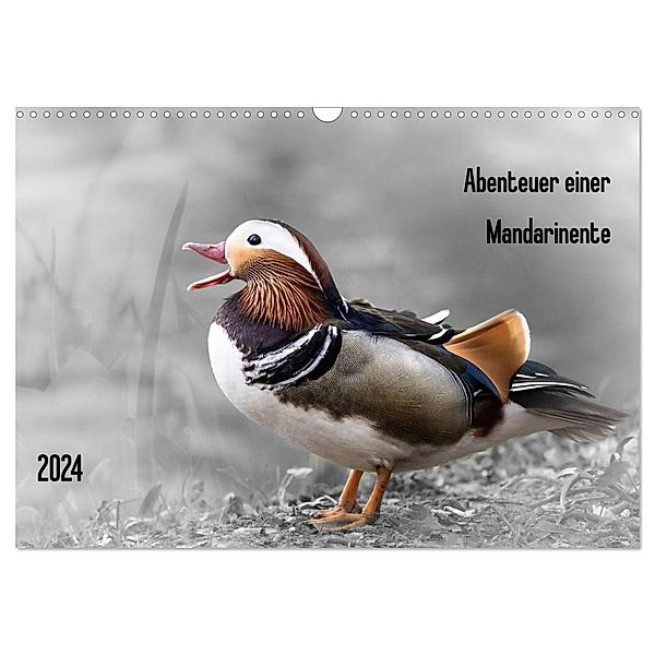 Abenteuer einer Mandarinente (Wandkalender 2024 DIN A3 quer), CALVENDO Monatskalender, LaPics