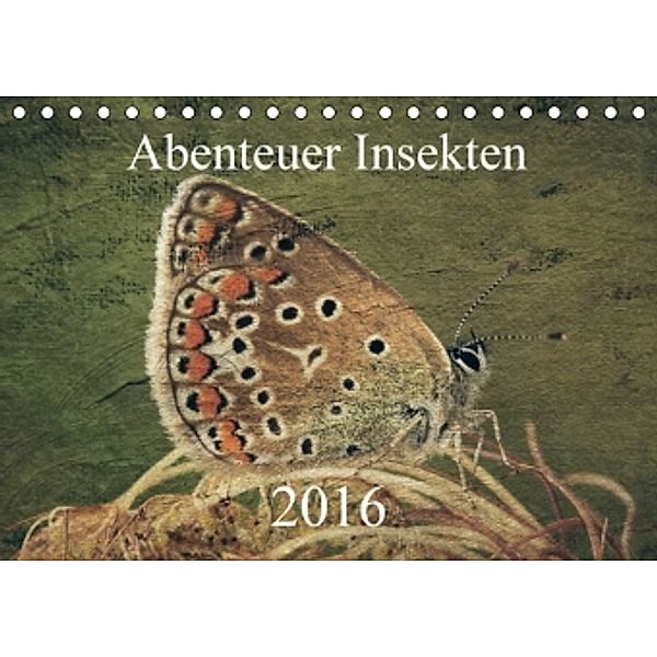 Abenteuer Insekten 2016 (Tischkalender 2016 DIN A5 quer), Hernegger Arnold