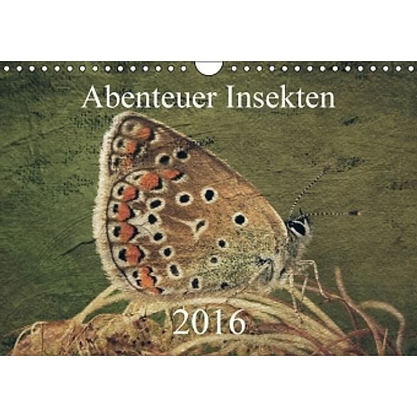 Abenteuer Insekten 2016 (Wandkalender 2016 DIN A4 quer), Hernegger Arnold