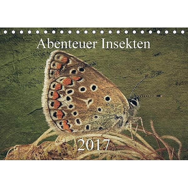Abenteuer Insekten 2017 (Tischkalender 2017 DIN A5 quer), Hernegger Arnold