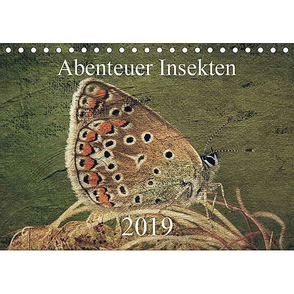 Abenteuer Insekten 2019 (Tischkalender 2019 DIN A5 quer), Hernegger Arnold