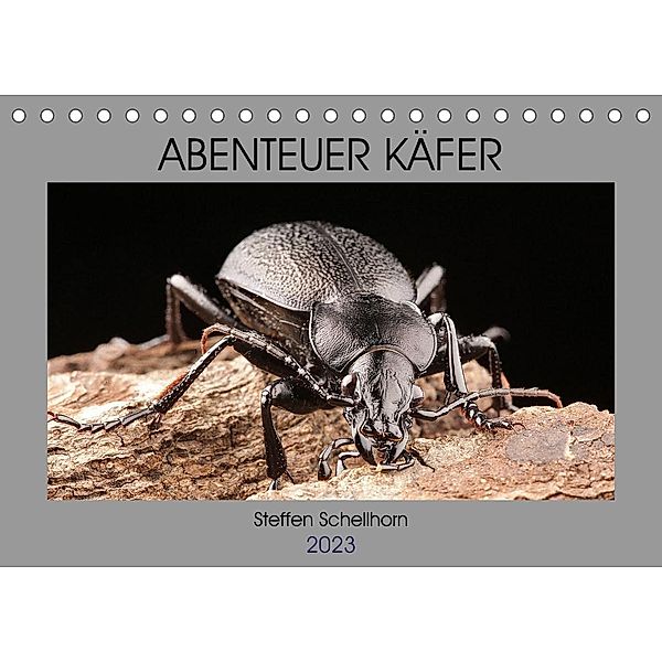 ABENTEUER KÄFER (Tischkalender 2023 DIN A5 quer), Steffen Schellhorn