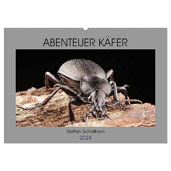 ABENTEUER KÄFER (Wandkalender 2024 DIN A2 quer), CALVENDO Monatskalender, Steffen Schellhorn