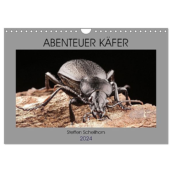 ABENTEUER KÄFER (Wandkalender 2024 DIN A4 quer), CALVENDO Monatskalender, Steffen Schellhorn