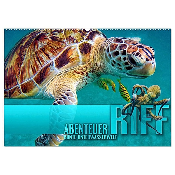 Abenteuer Riff - bunte Unterwasserwelt (Wandkalender 2024 DIN A2 quer), CALVENDO Monatskalender, Renate Utz