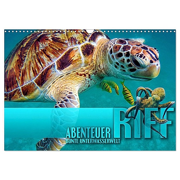Abenteuer Riff - bunte Unterwasserwelt (Wandkalender 2024 DIN A3 quer), CALVENDO Monatskalender, Renate Utz