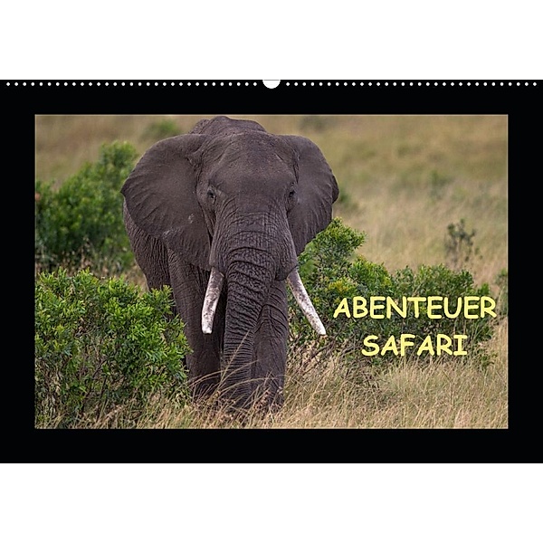 Abenteuer Safari (Wandkalender 2020 DIN A2 quer), Harald Pieta