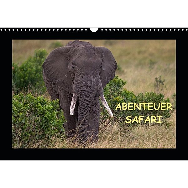 Abenteuer Safari (Wandkalender 2020 DIN A3 quer), Harald Pieta