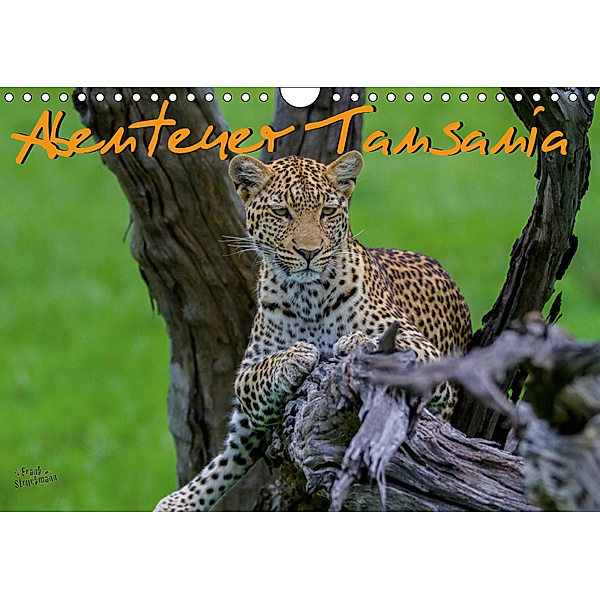 Abenteuer Tansania, Afrika (Wandkalender 2019 DIN A4 quer), Frank Struckmann