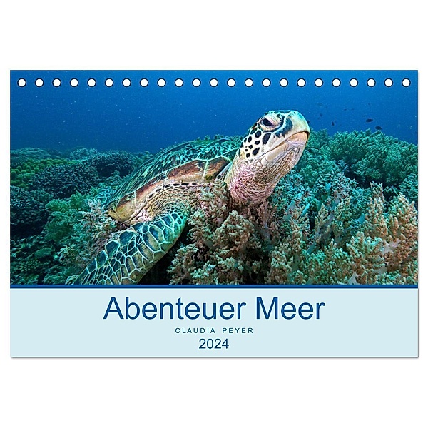 Abenteuer Unterwasser (Tischkalender 2024 DIN A5 quer), CALVENDO Monatskalender, Claudia Peyer