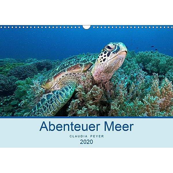 Abenteuer Unterwasser (Wandkalender 2020 DIN A3 quer), Claudia Peyer