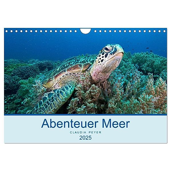 Abenteuer Unterwasser (Wandkalender 2025 DIN A4 quer), CALVENDO Monatskalender, Calvendo, Claudia Peyer