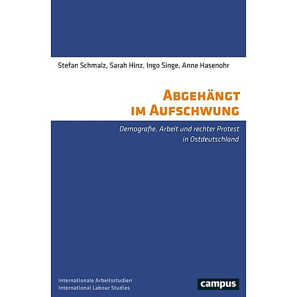 Abgehängt im Aufschwung / Labour Studies Bd.24, Stefan Schmalz, Sarah Hinz, Ingo Singe, Anne Hasenohr