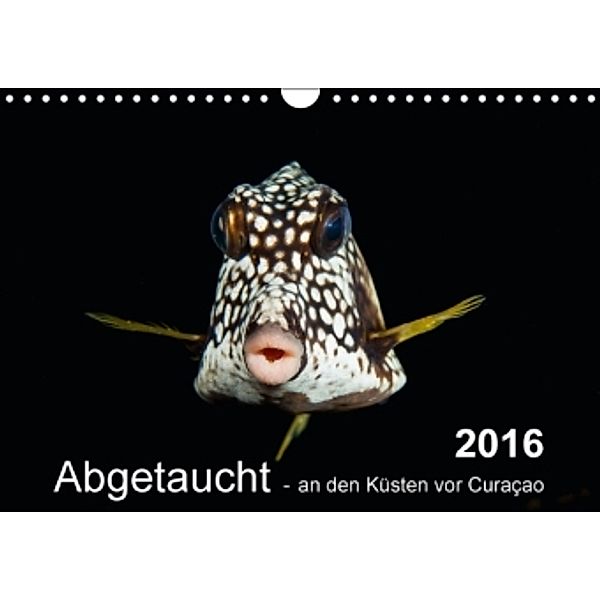 Abgetaucht - an den Küsten vor Curaçao (Wandkalender 2016 DIN A4 quer), Naturepics