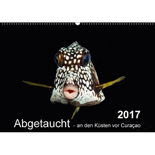 Abgetaucht - an den Küsten vor Curaçao (Wandkalender 2017 DIN A2 quer), naturepics