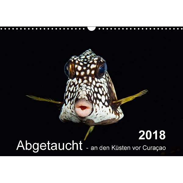 Abgetaucht - an den Küsten vor Curaçao (Wandkalender 2018 DIN A3 quer), Tilo Kühnast, Yvonne Kühnast, naturepics