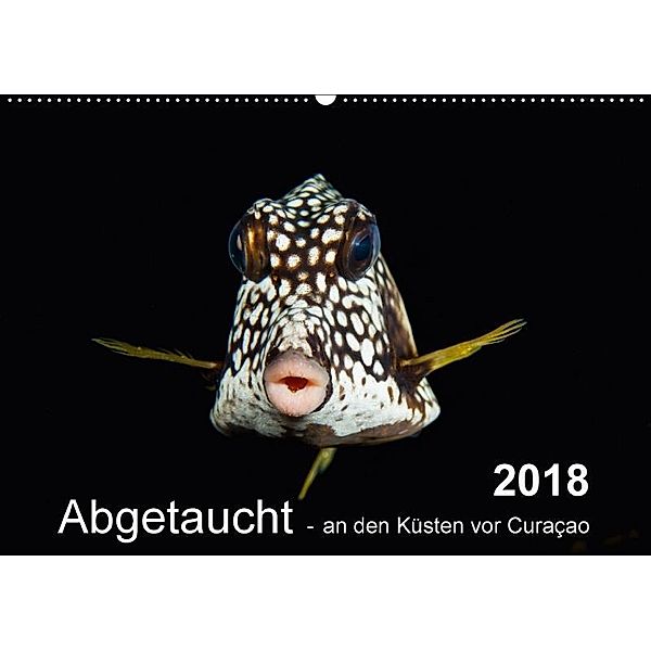 Abgetaucht - an den Küsten vor Curaçao (Wandkalender 2018 DIN A2 quer), Yvonne Kühnast, Tilo Kühnast, naturepics