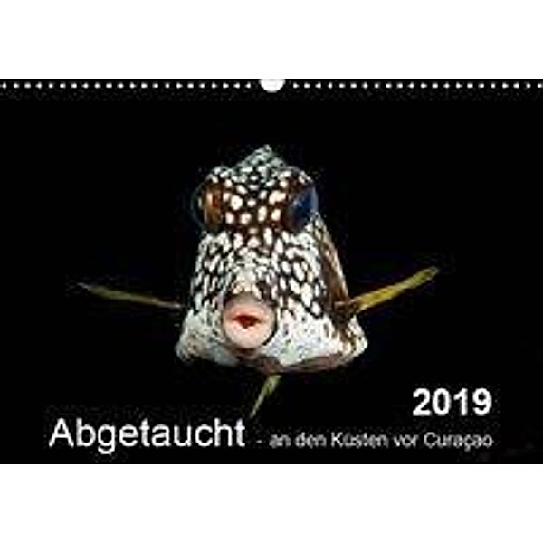 Abgetaucht - an den Küsten vor Curaçao (Wandkalender 2019 DIN A3 quer), Yvonne Kühnast