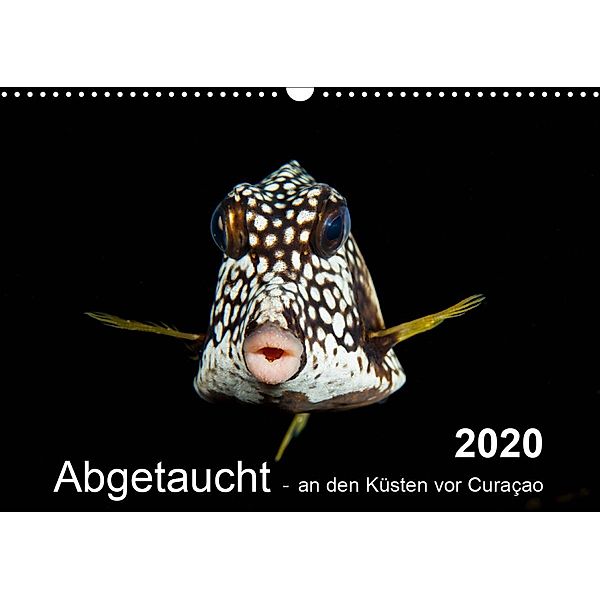 Abgetaucht - an den Küsten vor Curaçao (Wandkalender 2020 DIN A3 quer), Yvonne Kühnast, Tilo Kühnast