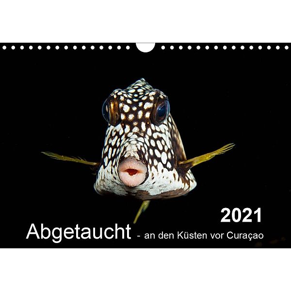 Abgetaucht - an den Küsten vor Curaçao (Wandkalender 2021 DIN A4 quer), Yvonne Kühnast