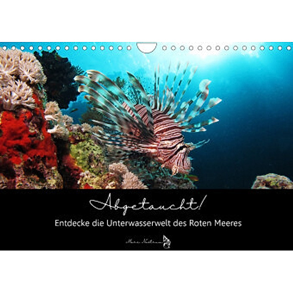 Abgetaucht! Entdecke die Unterwasserwelt des Roten Meeres (Wandkalender 2022 DIN A4 quer), Susann und Felix Roßbach