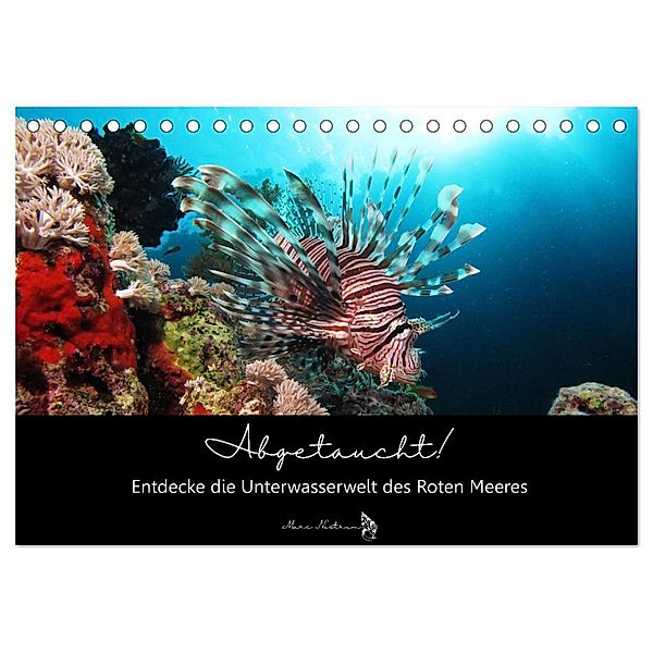 Abgetaucht! Entdecke die Unterwasserwelt des Roten Meeres (Tischkalender 2024 DIN A5 quer), CALVENDO Monatskalender, Susann und Felix Rossbach