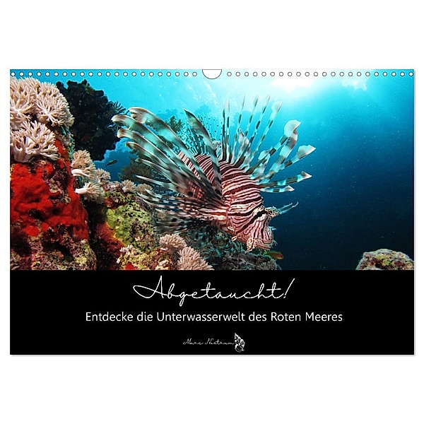 Abgetaucht! Entdecke die Unterwasserwelt des Roten Meeres (Wandkalender 2025 DIN A3 quer), CALVENDO Monatskalender, Calvendo, Susann und Felix Roßbach