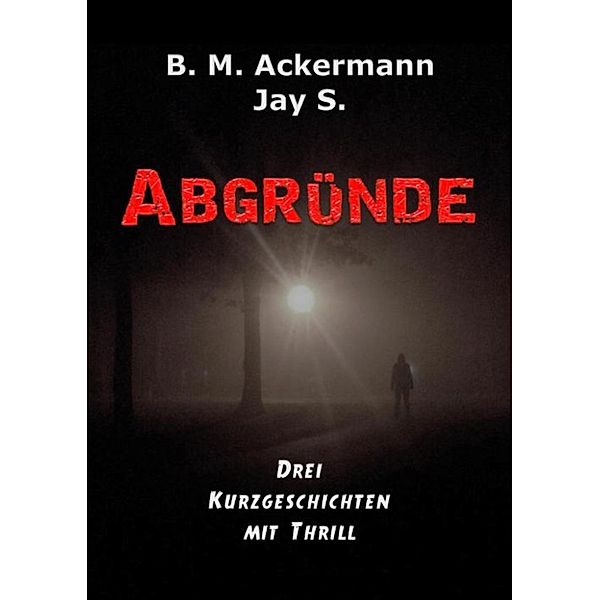 Abgründe, Jay S., B. M. Ackermann