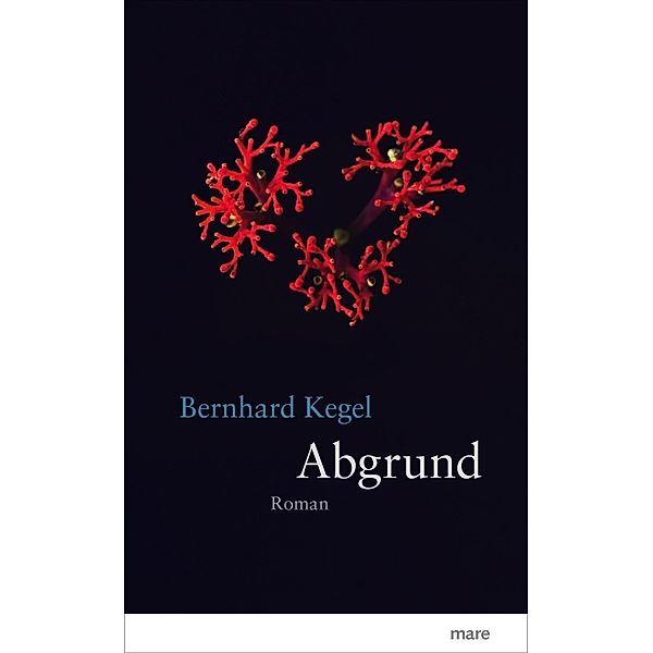 Abgrund, Bernhard Kegel