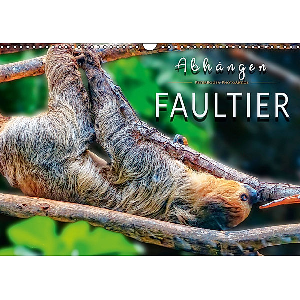 Abhängen - Faultier (Wandkalender 2019 DIN A3 quer), Peter Roder