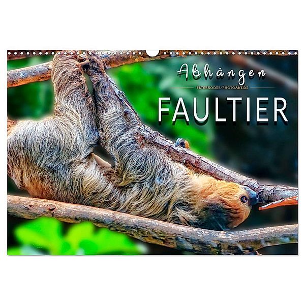 Abhängen - Faultier (Wandkalender 2025 DIN A3 quer), CALVENDO Monatskalender, Calvendo, Peter Roder