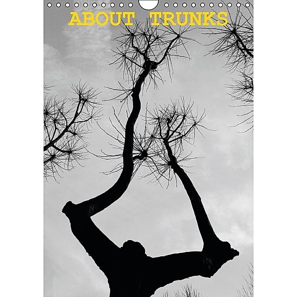 About TRUNKS (Wandkalender 2014 DIN A4 hoch), Julio Calvo