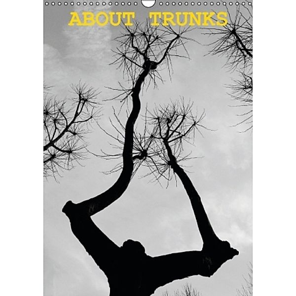 About TRUNKS (Wandkalender 2015 DIN A3 hoch), Julio Calvo