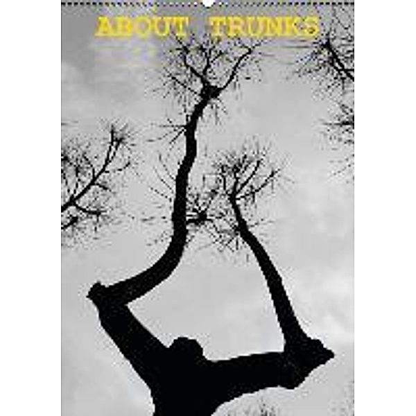 About TRUNKS (Wandkalender 2016 DIN A2 hoch), Julio Calvo