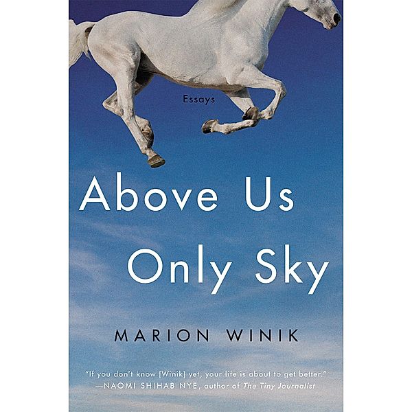 Above Us Only Sky, Marion Winik